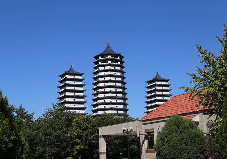 陵园环境